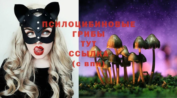 дурь Белокуриха