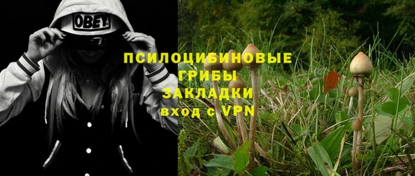 дурь Белокуриха
