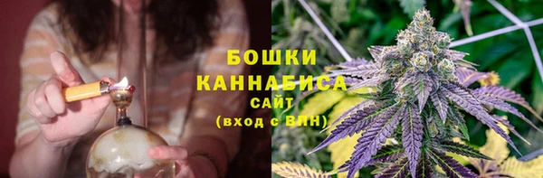 дурь Белокуриха