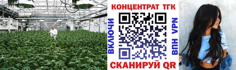 Дистиллят ТГК концентрат ссылка на мегу маркетплейс Кодинск